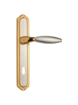 VEGA-18 Aynalı Kapı Kolu