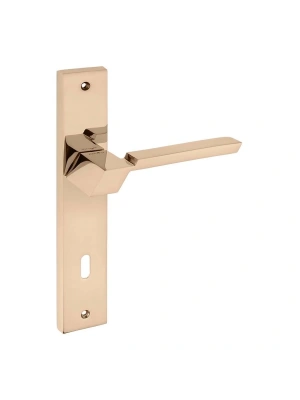 Z2001 Aynalı Kapı Kolu