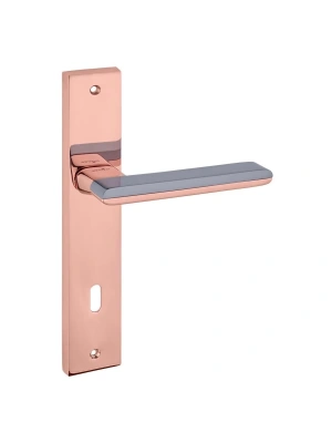 Z2006 Aynalı Kapı Kolu