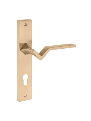 Z2007 Aynalı Kapı Kolu