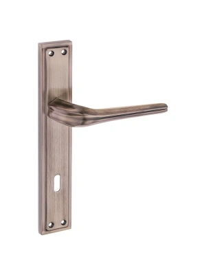 Z2014 Aynalı Kapı Kolu