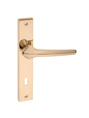 Z2016 Aynalı Kapı Kolu