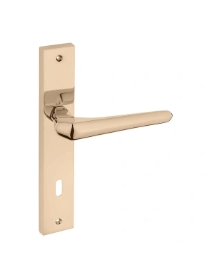 Z2017 Aynalı Kapı Kolu