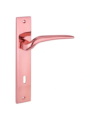 Z2018 Aynalı Kapı Kolu