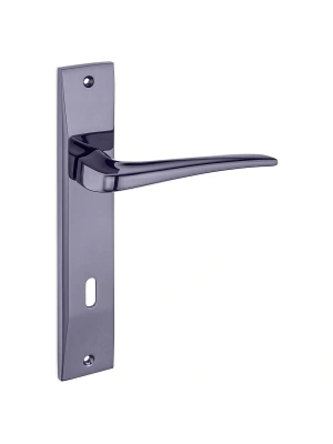 Z2021 Aynalı Kapı Kolu