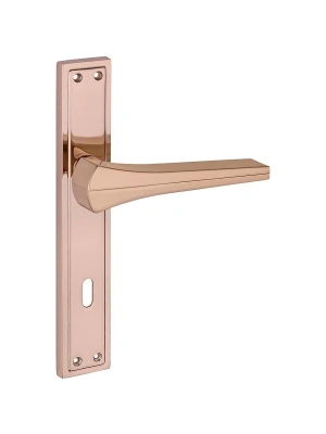 Z2023 Aynalı Kapı Kolu