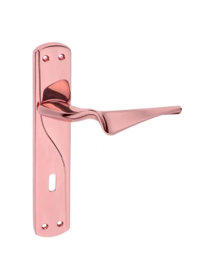 Z2024 Aynalı Kapı Kolu