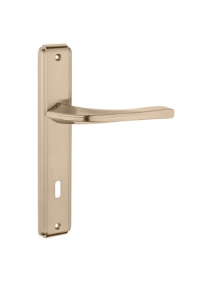 Z2026 Aynalı Kapı Kolu