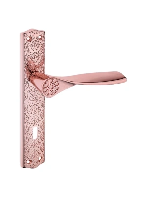 Z2027 Aynalı Kapı Kolu