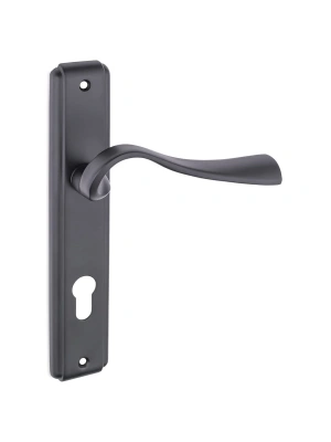 Z2028 Aynalı Kapı Kolu