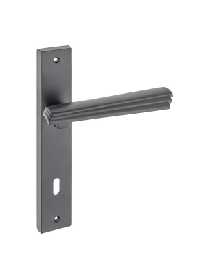 Z2029 Aynalı Kapı Kolu