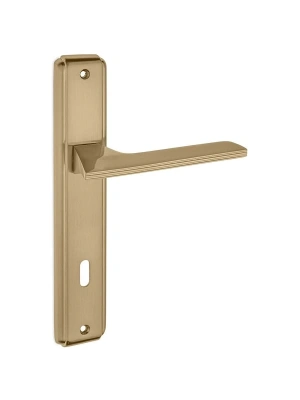 Z2033 Aynalı Kapı Kolu