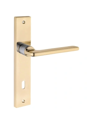 Z2038 Aynalı Kapı Kolu