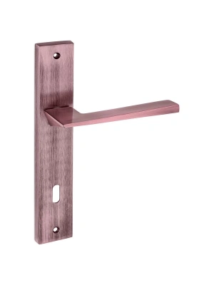 Z2039 Aynalı Kapı Kolu