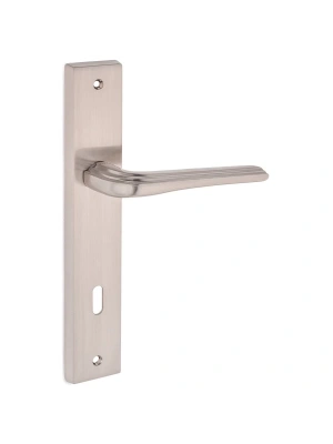 Z3002 Aynalı Kapı Kolu