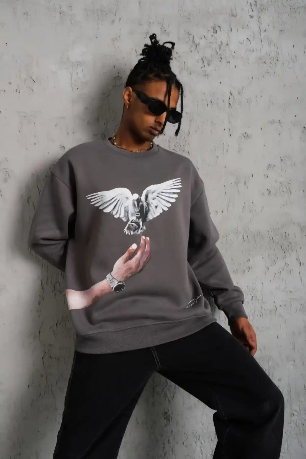 Erkek Güvercin Baskılı Sweatshirt - Gri