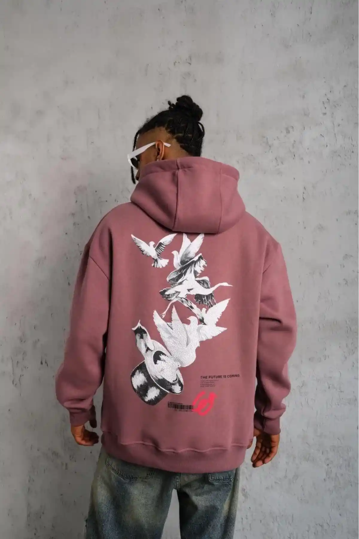 Erkek Şapkalı Güvercin Baskılı Kapşonlu Sweat - Gül Kurusu