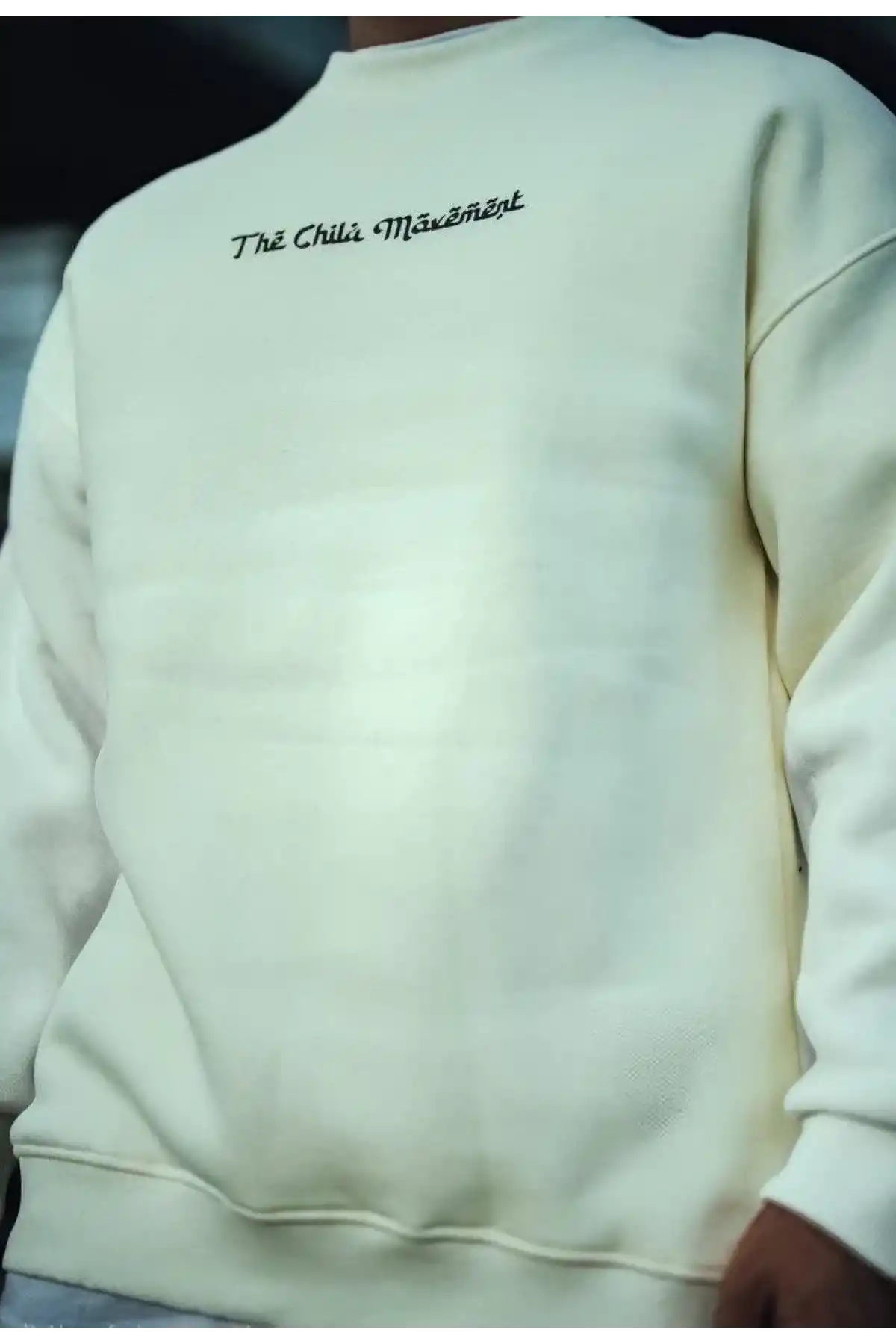 Erkek 3 iplik Pamuklu Bisiklet Yaka Baskılı SweatShirt - Beyaz