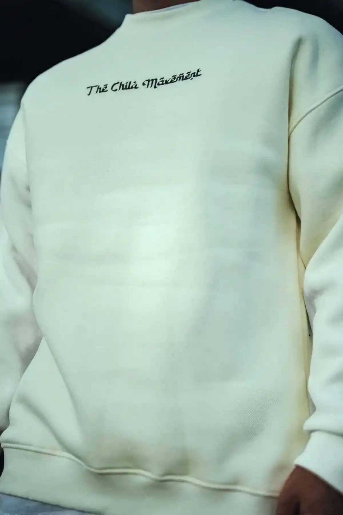 Erkek 3 iplik Pamuklu Bisiklet Yaka Baskılı SweatShirt - Beyaz