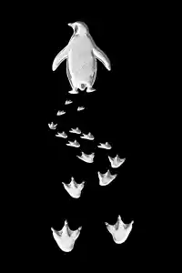 Erkek T-Shirt Nihilist Penguen Baskılı Bisiklet Yaka Kısa kol yazlık Tişört - Siyah