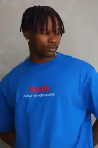 Erkek Baskılı T-Shirt Kısa Kol Bisiklet Yaka Rahat Kalıp Tişört  - Mavi