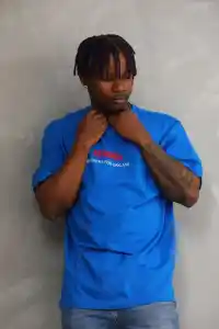 Erkek Baskılı T-Shirt Kısa Kol Bisiklet Yaka Rahat Kalıp Tişört  - Mavi