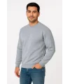 Lushiowear Erkek 3 İplik Pamuklu Düz Bisiklet Yaka SweatShirt - Gri