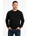 Lushiowear Erkek 3 İplik Pamuklu Düz Bisiklet Yaka SweatShirt - Siyah