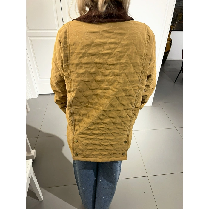 Camel Barbour Model Kapitone Mont