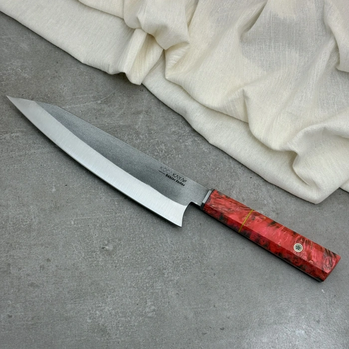 Schizopherinia N690104s4