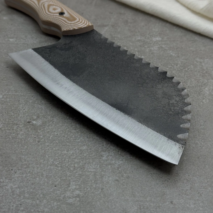 Schizophrenia Karbon Almazan