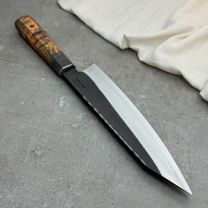 Schizopherinia N690as1