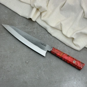 Schizopherinia N690104s4