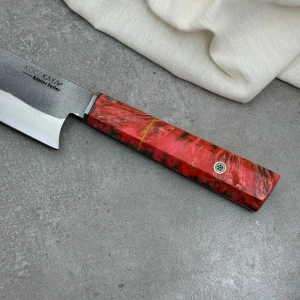 Schizopherinia N690104s4