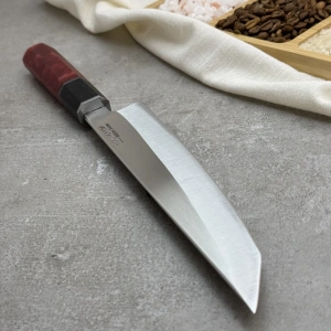 Schizopherinia N690107k8