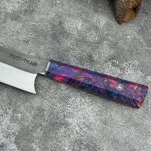 Schizopherinia N690104s7