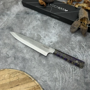 Schizopherinia N690103s3