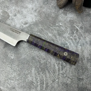 Schizopherinia N690103s3