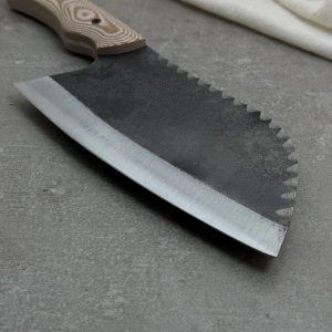 Schizophrenia Karbon Almazan