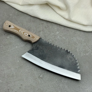 Schizophrenia Karbon Almazan