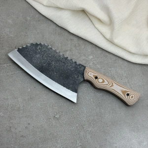 Schizophrenia Karbon Almazan