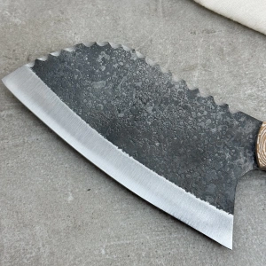 Schizophrenia Karbon Almazan