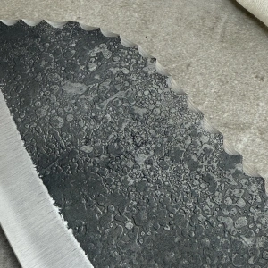 Schizophrenia Karbon Almazan