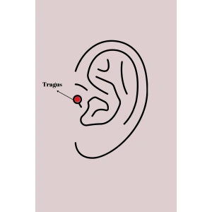 316L Çelik Gümüş Renk Mor Model Tragus Piercing TJ-PR1287