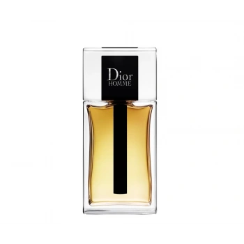 Dior Homme Eau de Toilette 100 ml Man tester