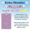 Little Joe Lavanta Kokulu Dolap Asma Kart (Lavender) -45 Gün -İpli Ev Oto Kokusu -Ayna Parfümü