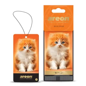 Areon Wild Blue Eyes Oto Araç Kokusu