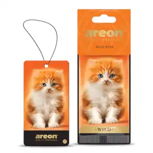 Areon Wild Blue Eyes Oto Araç Kokusu