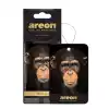 Areon Wild Professor Oto Araç Kokusu