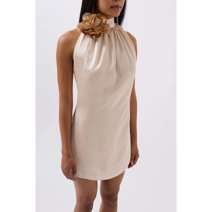 Gül Detay Mini aten Elbise